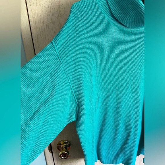 FREE PEOPLE Softly Structured Oversized Tunic Turtleneck Sweater Small Aqua - Picture 3 of 9